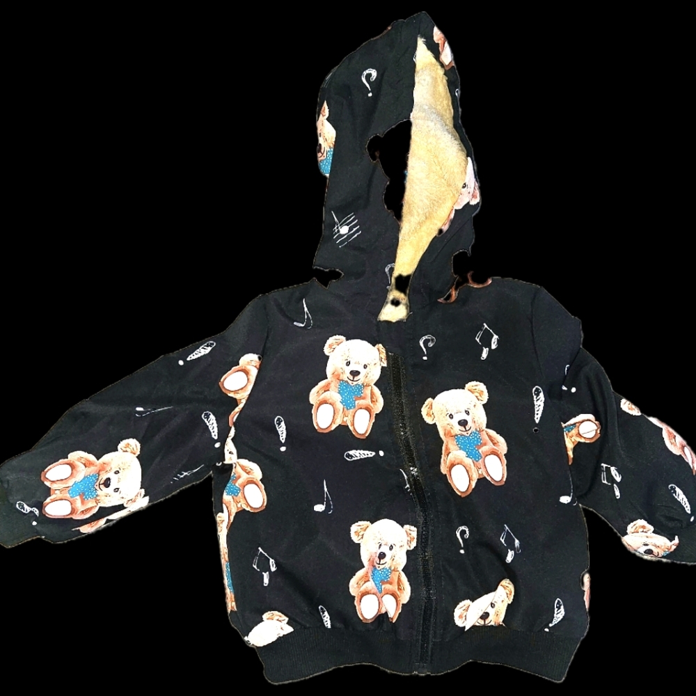 Kids Black Bear Hoodie 2t